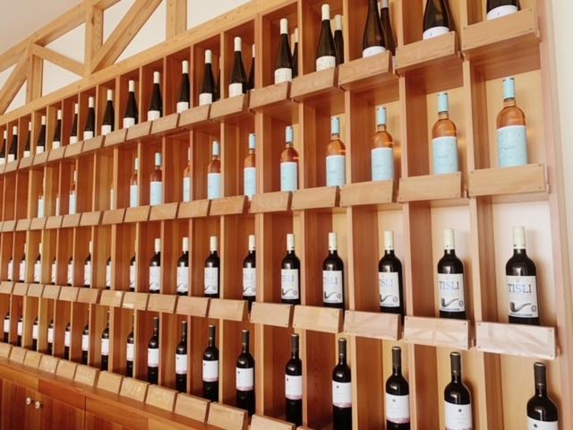 Riviera Park Hotel Balatonfoldvar Ngoại thất bức ảnh
